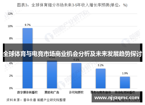 全球体育与电竞市场商业机会分析及未来发展趋势探讨