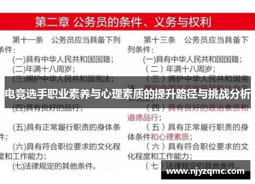 电竞选手职业素养与心理素质的提升路径与挑战分析